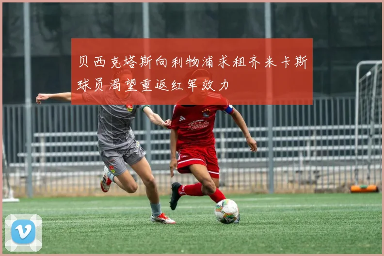 贝西克塔斯向利物浦求租齐米卡斯球员渴望重返红军效力